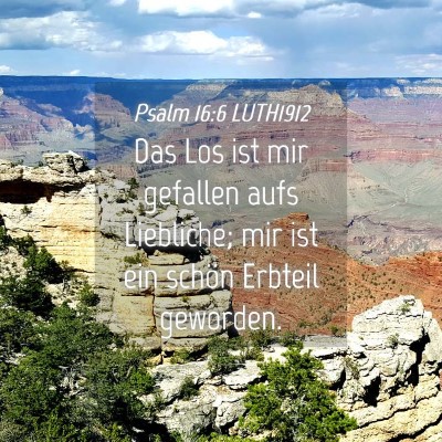Picture 04 - Psalm 16:6 LUTH1912 - Das Los ist mir gefallen aufs Liebliche; mir ist - Bible Verse Picture