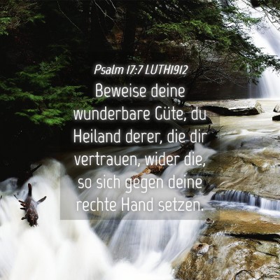 Picture 04 - Psalm 17:7 LUTH1912 - Beweise deine wunderbare Güte, du Heiland derer, - Bible Verse Picture