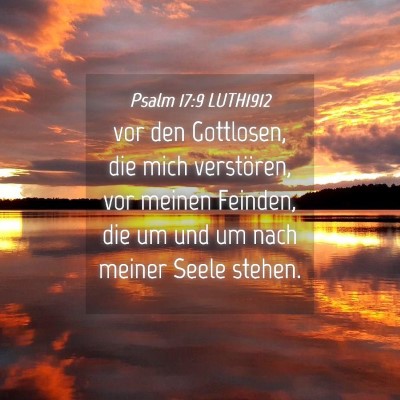 Picture 04 - Psalm 17:9 LUTH1912 - vor den Gottlosen, die mich verstören, vor - Bible Verse Picture