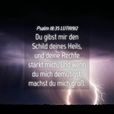 Picture 04 - Psalm 18:35 LUTH1912 - Du gibst mir den Schild deines Heils, und deine - Bible Verse Picture
