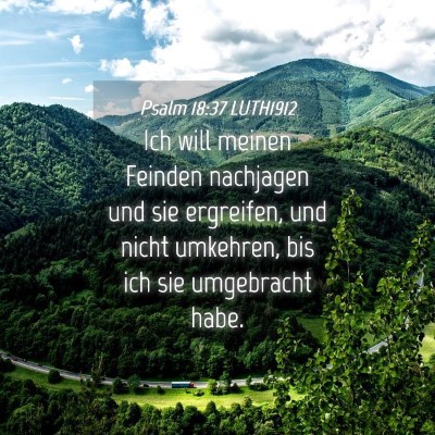 Picture 04 - Psalm 18:37 LUTH1912 - Ich will meinen Feinden nachjagen und sie - Bible Verse Picture