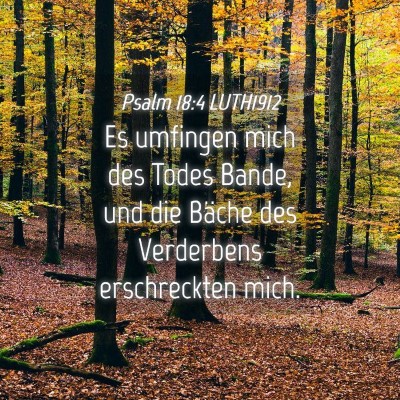 Picture 04 - Psalm 18:4 LUTH1912 - Es umfingen mich des Todes Bande, und die Bäche - Bible Verse Picture