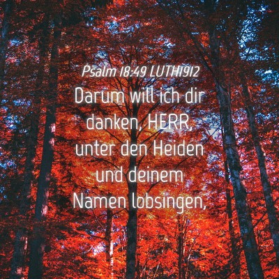Picture 04 - Psalm 18:49 LUTH1912 - Darum will ich dir danken, HERR, unter den Heiden - Bible Verse Picture