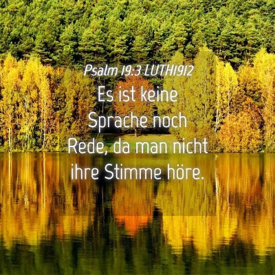 Picture 04 - Psalm 19:3 LUTH1912 - Es ist keine Sprache noch Rede, da man nicht ihre - Bible Verse Picture