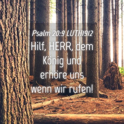 Picture 04 - Psalm 20:9 LUTH1912 - Hilf, HERR, dem König und erhöre uns wenn wir - Bible Verse Picture