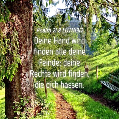 Picture 04 - Psalm 21:8 LUTH1912 - Deine Hand wird finden alle deine Feinde; deine - Bible Verse Picture