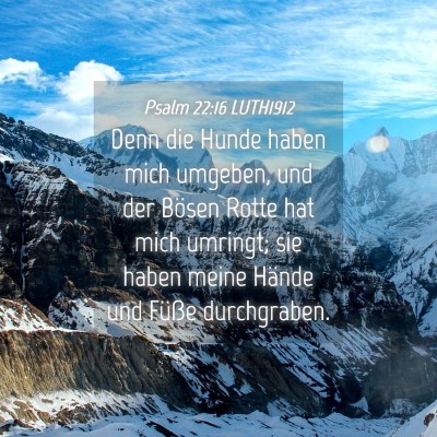 Picture 04 - Psalm 22:16 LUTH1912 - Denn die Hunde haben mich umgeben, und der Bösen - Bible Verse Picture