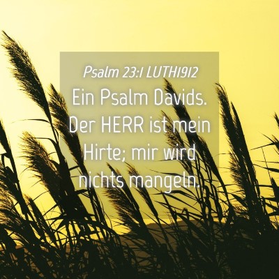 Picture 04 - Psalm 23:1 LUTH1912 - Ein Psalm Davids. Der HERR ist mein Hirte; mir - Bible Verse Picture