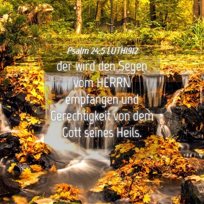 Picture 04 - Psalm 24:5 LUTH1912 - der wird den Segen vom HERRN empfangen und - Bible Verse Picture