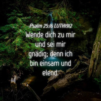 Picture 04 - Psalm 25:16 LUTH1912 - Wende dich zu mir und sei mir gnädig; denn ich - Bible Verse Picture