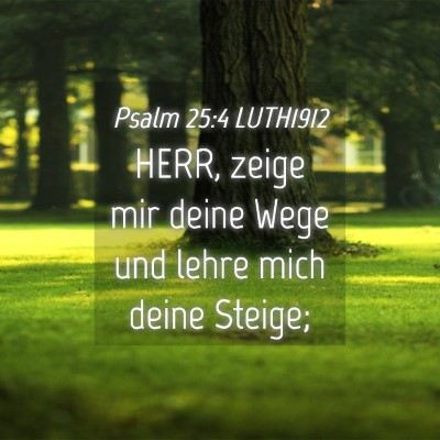 Picture 04 - Psalm 25:4 LUTH1912 - HERR, zeige mir deine Wege und lehre mich deine - Bible Verse Picture