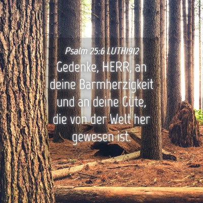 Picture 04 - Psalm 25:6 LUTH1912 - Gedenke, HERR, an deine Barmherzigkeit und an - Bible Verse Picture