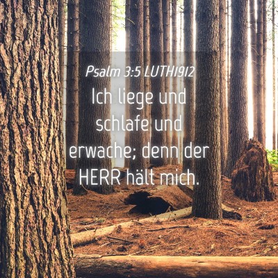 Picture 04 - Psalm 3:5 LUTH1912 - Ich liege und schlafe und erwache; denn der HERR - Bible Verse Picture