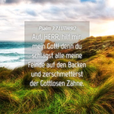 Picture 04 - Psalm 3:7 LUTH1912 - Auf, HERR, hilf mir, mein Gott! denn du schlägst - Bible Verse Picture