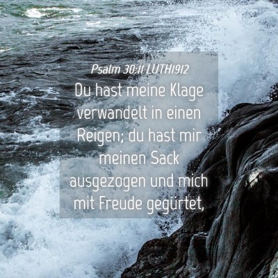 Picture 04 - Psalm 30:11 LUTH1912 - Du hast meine Klage verwandelt in einen Reigen; - Bible Verse Picture