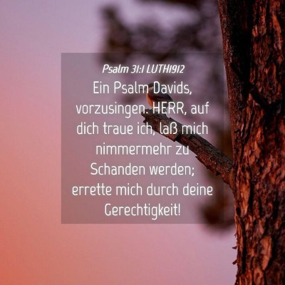 Picture 04 - Psalm 31:1 LUTH1912 - Ein Psalm Davids, vorzusingen. HERR, auf dich - Bible Verse Picture