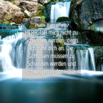 Picture 04 - Psalm 31:17 LUTH1912 - HERR, laß mich nicht zu Schanden werden; denn - Bible Verse Picture
