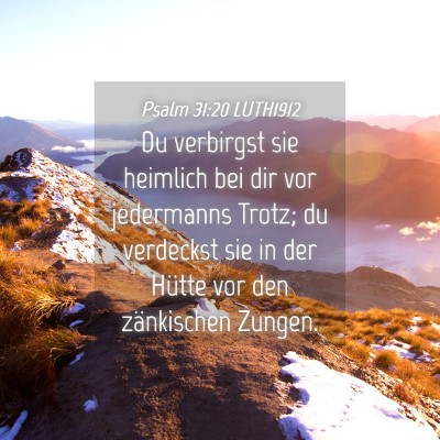 Picture 04 - Psalm 31:20 LUTH1912 - Du verbirgst sie heimlich bei dir vor jedermanns - Bible Verse Picture