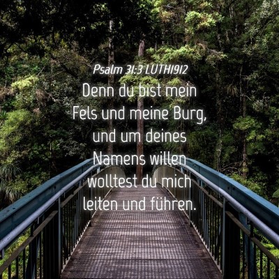 Picture 04 - Psalm 31:3 LUTH1912 - Denn du bist mein Fels und meine Burg, und um - Bible Verse Picture