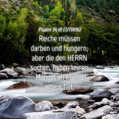 Picture 04 - Psalm 34:10 LUTH1912 - Reiche müssen darben und hungern; aber die den - Bible Verse Picture