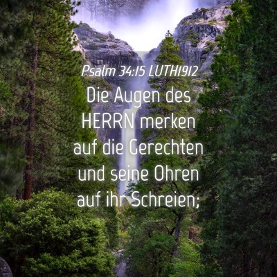 Picture 04 - Psalm 34:15 LUTH1912 - Die Augen des HERRN merken auf die Gerechten und - Bible Verse Picture