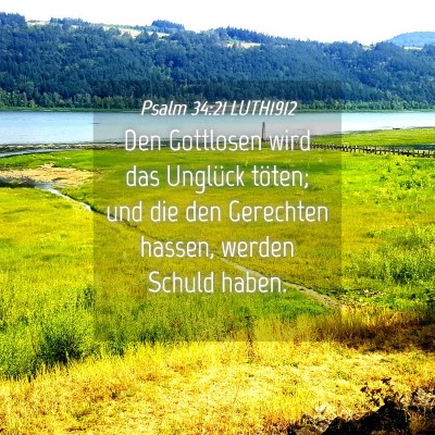 Picture 04 - Psalm 34:21 LUTH1912 - Den Gottlosen wird das Unglück töten; und die - Bible Verse Picture