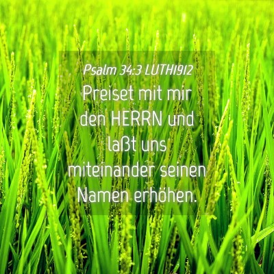 Picture 04 - Psalm 34:3 LUTH1912 - Preiset mit mir den HERRN und laßt uns - Bible Verse Picture