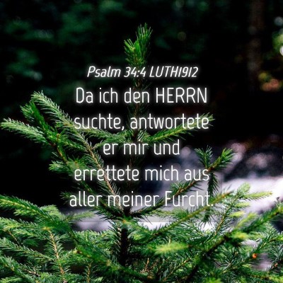 Picture 04 - Psalm 34:4 LUTH1912 - Da ich den HERRN suchte, antwortete er mir und - Bible Verse Picture
