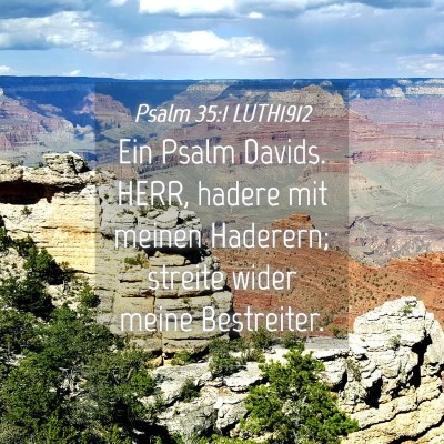 Picture 04 - Psalm 35:1 LUTH1912 - Ein Psalm Davids. HERR, hadere mit meinen - Bible Verse Picture