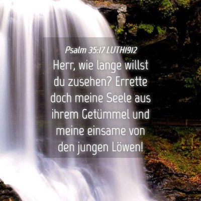Picture 04 - Psalm 35:17 LUTH1912 - Herr, wie lange willst du zusehen? Errette doch - Bible Verse Picture