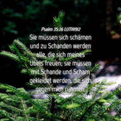 Picture 04 - Psalm 35:26 LUTH1912 - Sie müssen sich schämen und zu Schanden werden - Bible Verse Picture
