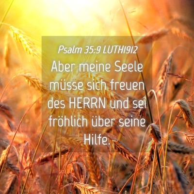 Picture 04 - Psalm 35:9 LUTH1912 - Aber meine Seele müsse sich freuen des HERRN und - Bible Verse Picture