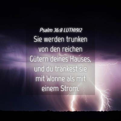 Picture 04 - Psalm 36:8 LUTH1912 - Sie werden trunken von den reichen Gütern deines - Bible Verse Picture