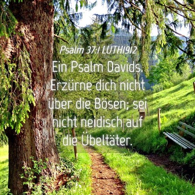 Picture 04 - Psalm 37:1 LUTH1912 - Ein Psalm Davids. Erzürne dich nicht über die - Bible Verse Picture