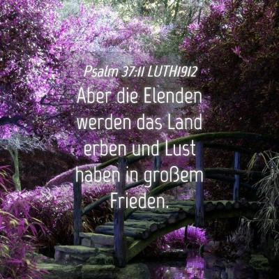Picture 04 - Psalm 37:11 LUTH1912 - Aber die Elenden werden das Land erben und Lust - Bible Verse Picture