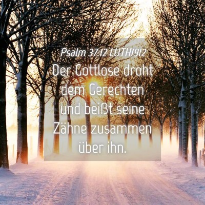 Picture 04 - Psalm 37:12 LUTH1912 - Der Gottlose droht dem Gerechten und beißt seine - Bible Verse Picture