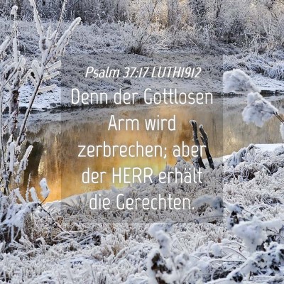 Picture 04 - Psalm 37:17 LUTH1912 - Denn der Gottlosen Arm wird zerbrechen; aber der - Bible Verse Picture