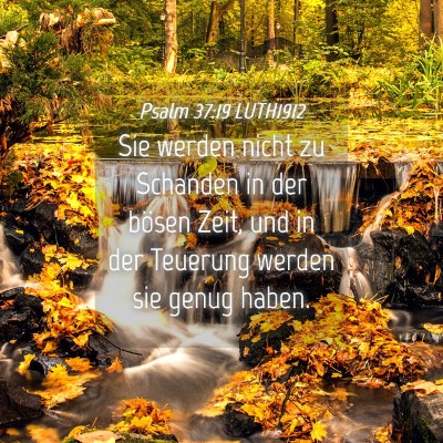 Picture 04 - Psalm 37:19 LUTH1912 - Sie werden nicht zu Schanden in der bösen Zeit, - Bible Verse Picture
