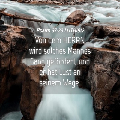 Picture 04 - Psalm 37:23 LUTH1912 - Von dem HERRN wird solches Mannes Gang - Bible Verse Picture