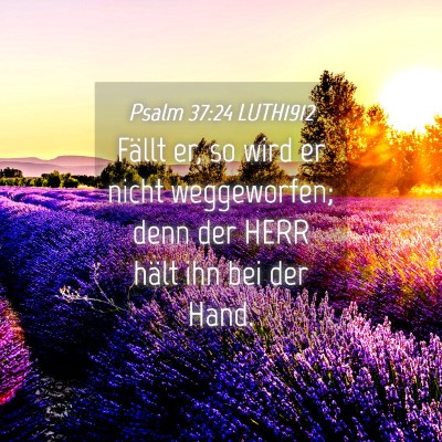 Picture 04 - Psalm 37:24 LUTH1912 - Fällt er, so wird er nicht weggeworfen; denn der - Bible Verse Picture