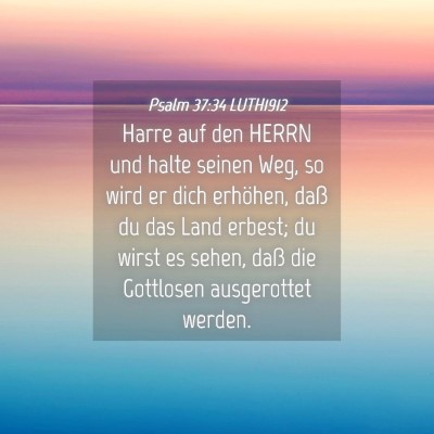 Picture 04 - Psalm 37:34 LUTH1912 - Harre auf den HERRN und halte seinen Weg, so wird - Bible Verse Picture