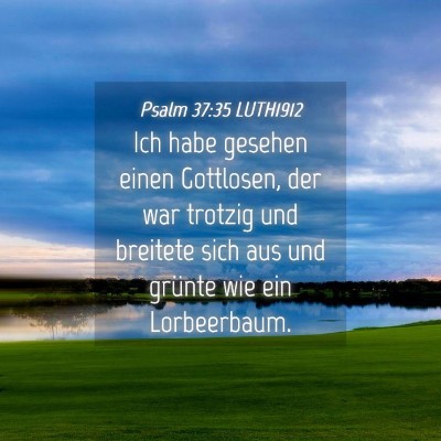 Picture 04 - Psalm 37:35 LUTH1912 - Ich habe gesehen einen Gottlosen, der war trotzig - Bible Verse Picture