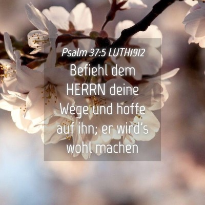 Picture 04 - Psalm 37:5 LUTH1912 - Befiehl dem HERRN deine Wege und hoffe auf ihn; - Bible Verse Picture