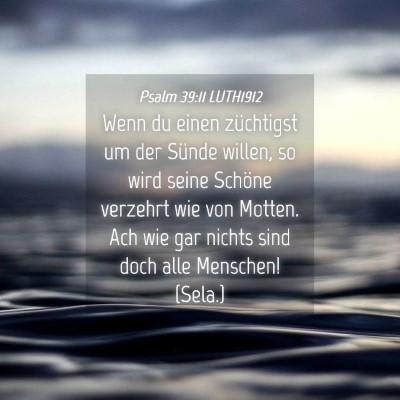 Picture 04 - Psalm 39:11 LUTH1912 - Wenn du einen züchtigst um der Sünde willen, so - Bible Verse Picture