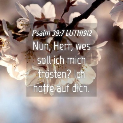 Picture 04 - Psalm 39:7 LUTH1912 - Nun, Herr, wes soll ich mich trösten? Ich hoffe - Bible Verse Picture