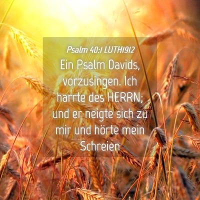 Picture 04 - Psalm 40:1 LUTH1912 - Ein Psalm Davids, vorzusingen. Ich harrte des - Bible Verse Picture