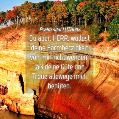 Picture 04 - Psalm 40:11 LUTH1912 - Du aber, HERR, wollest deine Barmherzigkeit von - Bible Verse Picture