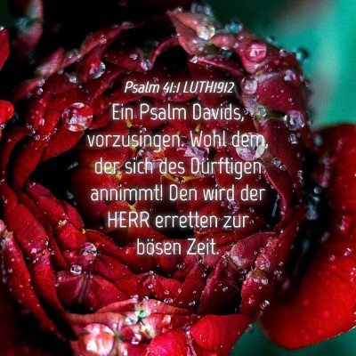 Picture 04 - Psalm 41:1 LUTH1912 - Ein Psalm Davids, vorzusingen. Wohl dem, der sich - Bible Verse Picture