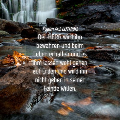 Picture 04 - Psalm 41:2 LUTH1912 - Der HERR wird ihn bewahren und beim Leben - Bible Verse Picture