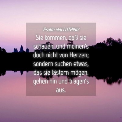 Picture 04 - Psalm 41:6 LUTH1912 - Sie kommen, daß sie schauen, und meinen's doch - Bible Verse Picture